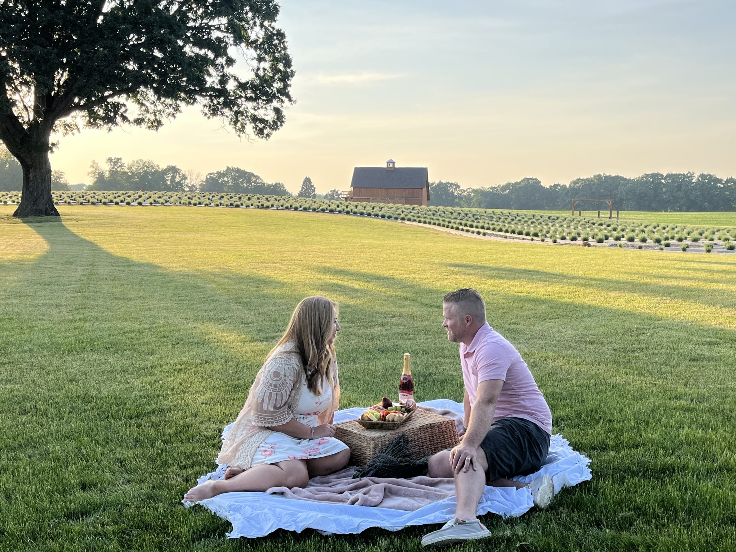 Man and woman sitting on blanket with food with a barn and lavender field in the distance.
