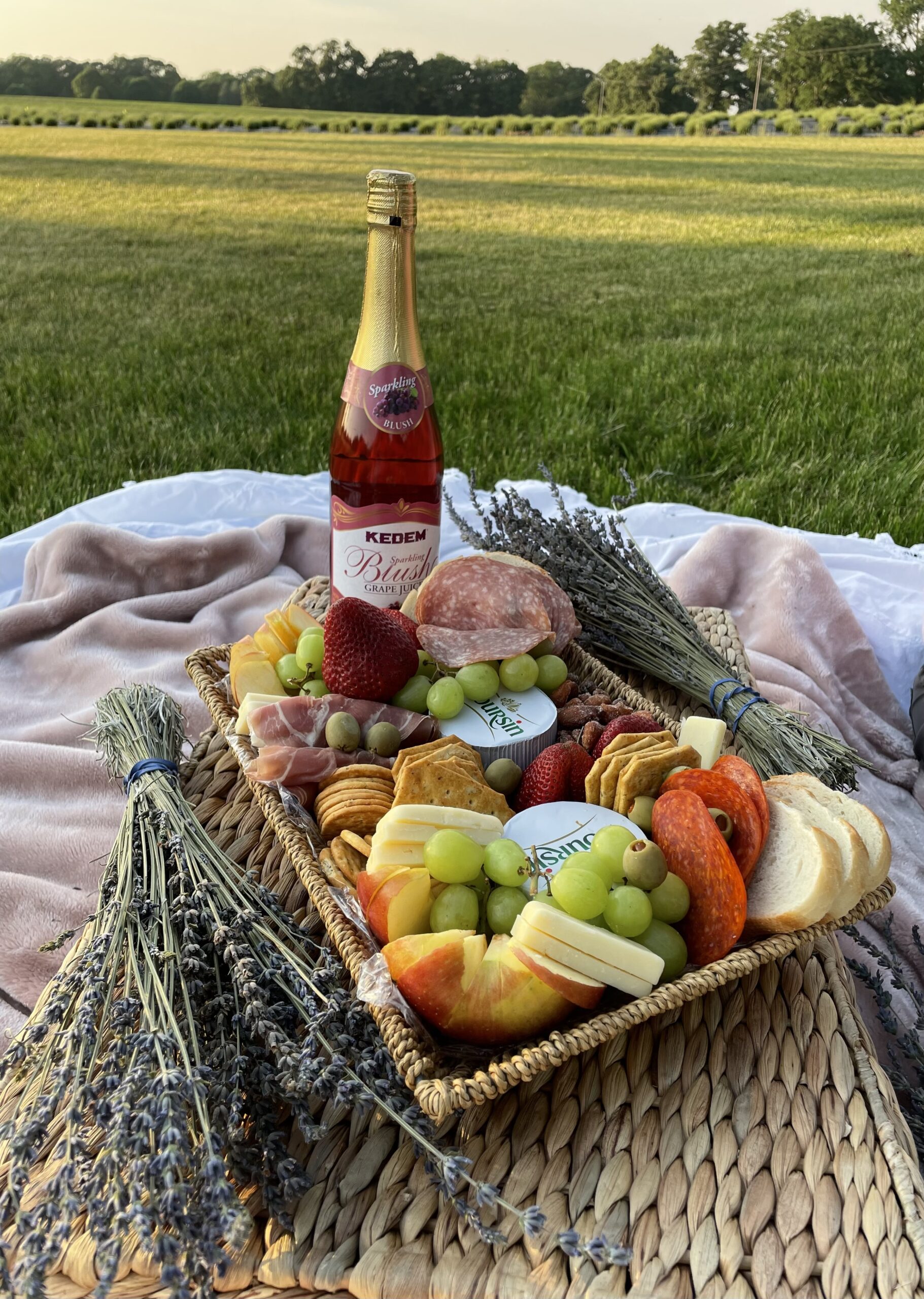 Chopped apple, grapes, variety of deli meats, sparkling juice on a picnic.