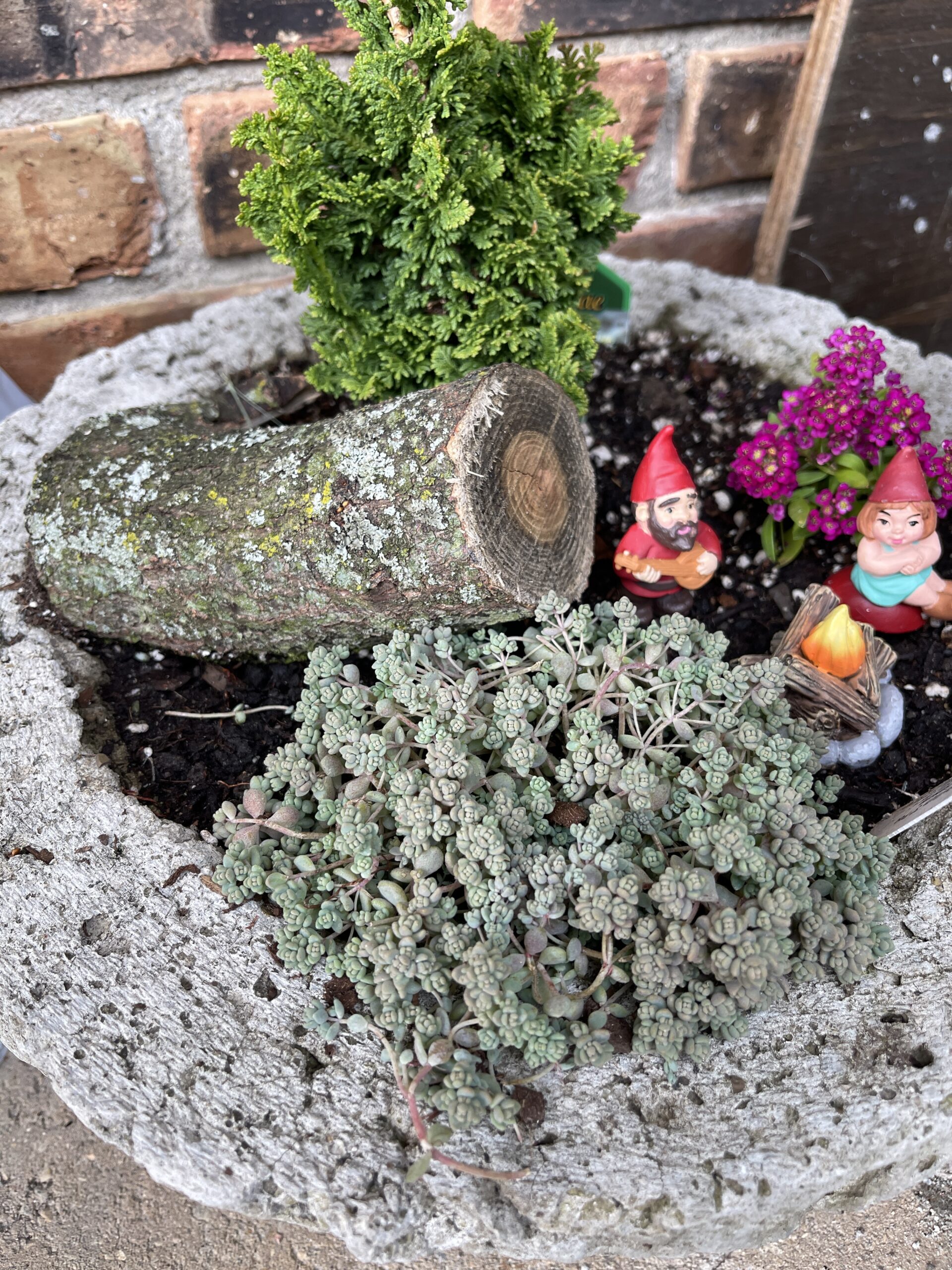 Fairy garden with gnomes, little tree, and log.