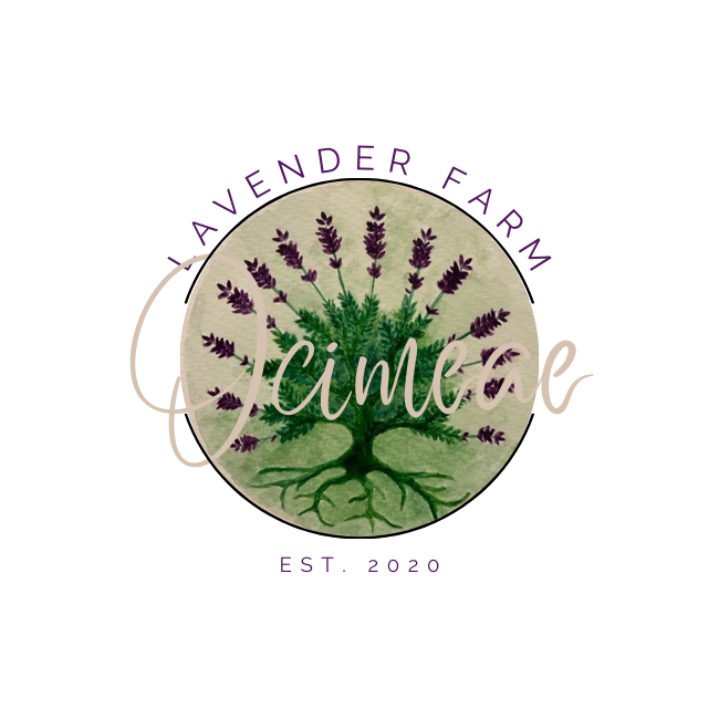 Ocimeae Lavender Farm
